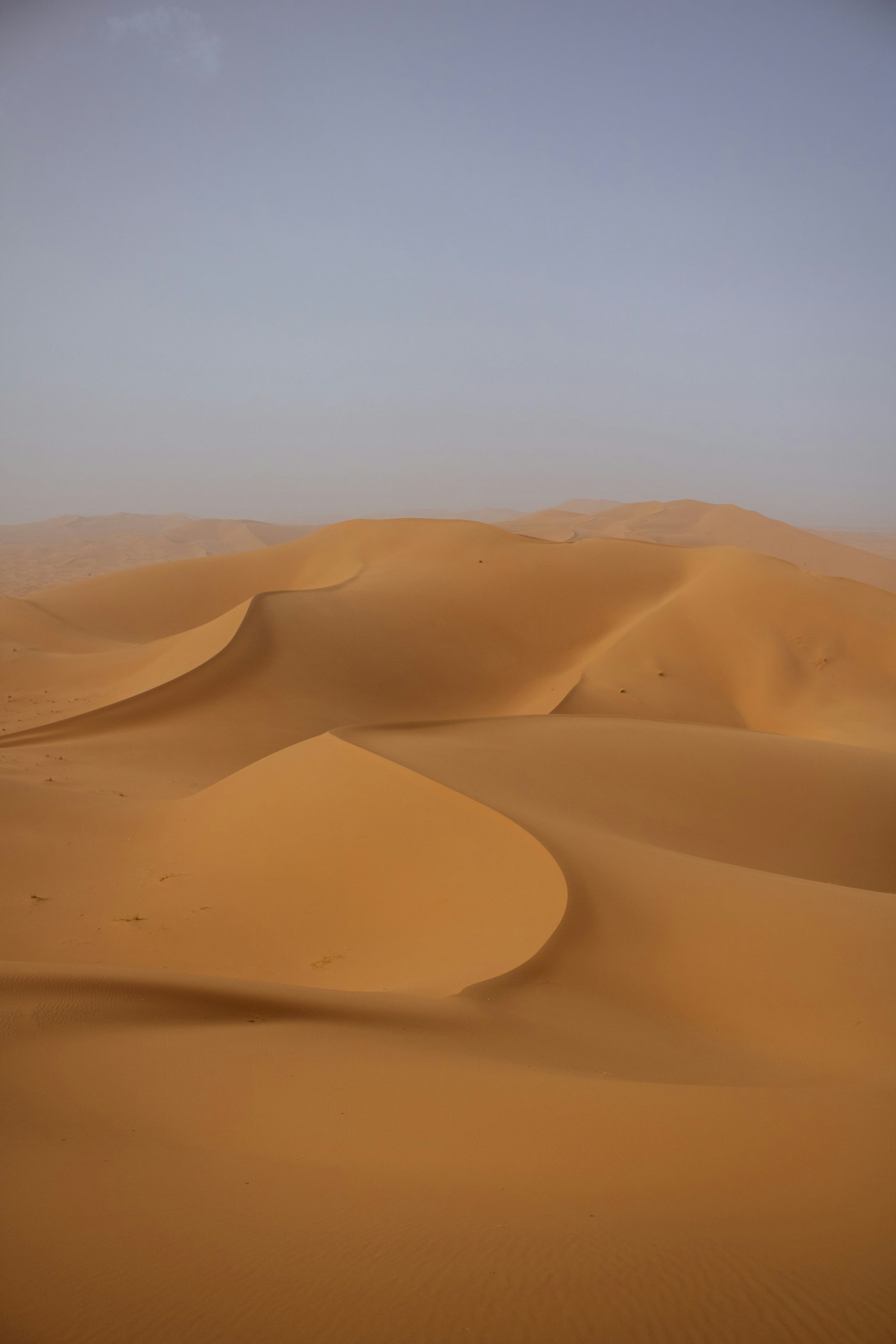 كيف تختار مخيماً صحراوياً مسؤولاً؟